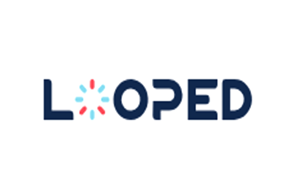 Looped Information Technology Company