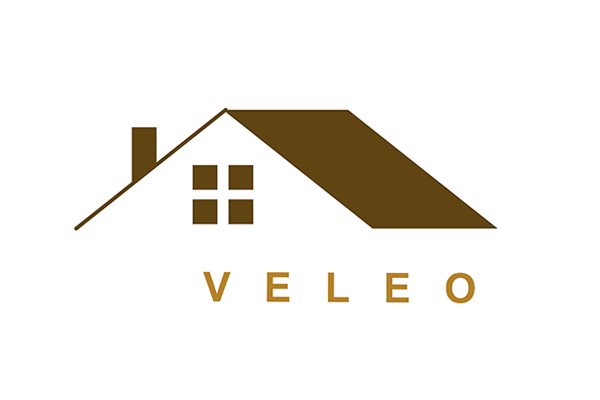 Veleo International INC
